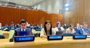 رانيا المشاط، وزيرة التعاون الدولي