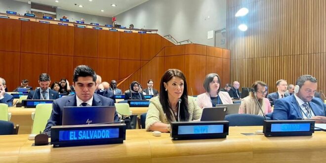 رانيا المشاط، وزيرة التعاون الدولي